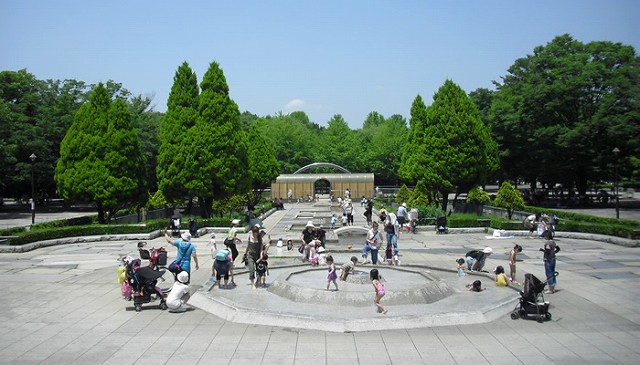 光ヶ丘公園の画像です