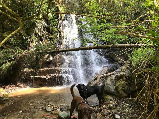 水越川の画像です