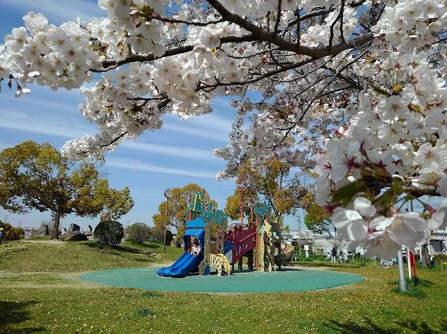 公園の画像です