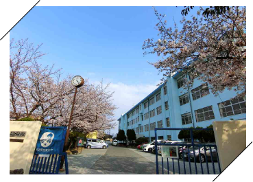 金山小学校