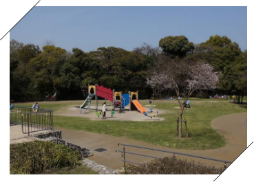 西南杜の湖畔公園